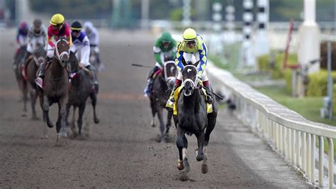 kentucky derby favorites 2017|Kentucky Derby 2017: The Preview of the Favorites .
